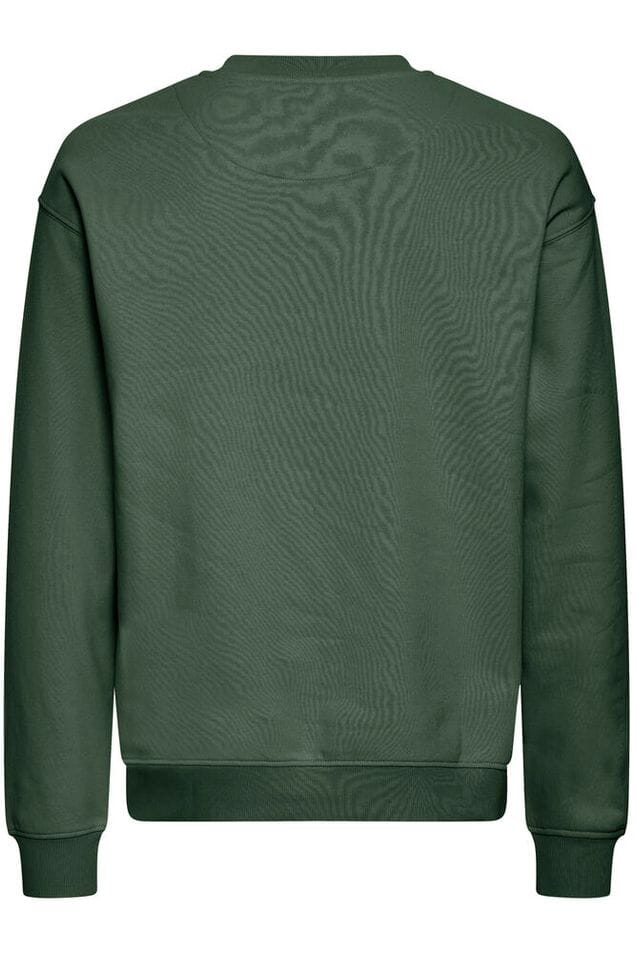Felpa SOLID girocollo basic verde